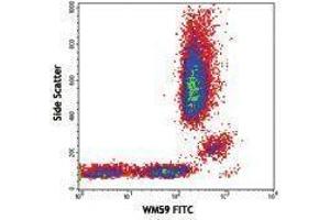 Flow Cytometry (FACS) image for anti-Platelet/endothelial Cell Adhesion Molecule (PECAM1) antibody (FITC) (ABIN2661660)