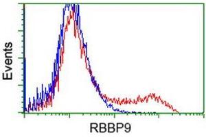 HEK293T cells transfected with either RC202090 overexpress plasmid (Red) or empty vector control plasmid (Blue) were immunostained by anti-RBBP9 antibody (ABIN2453589), and then analyzed by flow cytometry. (RBBP9 anticorps)