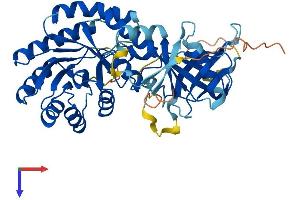 AlphaFold protein structure predicition of Mouse Recombinant Azin1 Protein, UniprotID O35484