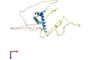 AlphaFold protein structure predicition of Human Recombinant NKX2-6 Protein, UniprotID A6NCS4