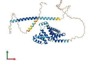 AlphaFold protein structure predicition of Mouse Recombinant Rmdn3 Protein, UniprotID Q3UJU9