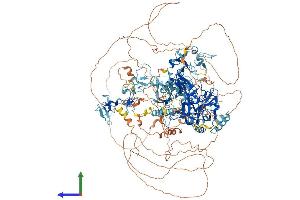 AlphaFold protein structure predicition of Mouse Recombinant Nsd3 Protein, UniprotID Q6P2L6