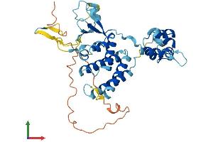 AlphaFold protein structure predicition of Human Recombinant FBXO25 Protein, UniprotID Q8TCJ0
