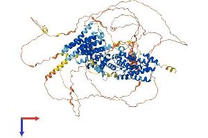 AlphaFold protein structure predicition of Human Recombinant RAPGEF1 Protein, UniprotID Q13905