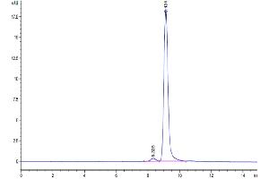 The purity of Cynomolgus ANXA1 is greater than 95 % as determined by SEC-HPLC.