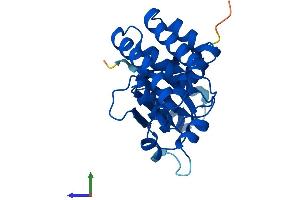 AlphaFold protein structure predicition of Human Recombinant OTUB2 Protein, UniprotID Q96DC9