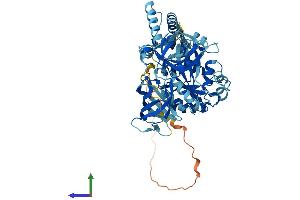 AlphaFold protein structure predicition of Human Recombinant GTPBP2 Protein, UniprotID Q9BX10