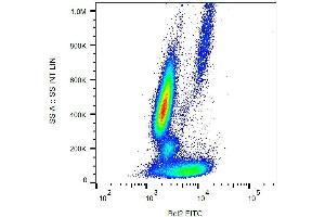 Intracellular staining of human peripheral blood with anti-Bcl2 (Bcl-2/100) FITC.