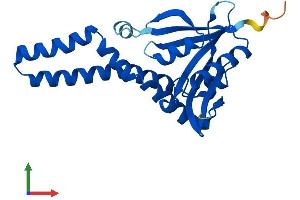 AlphaFold protein structure predicition of Mouse Recombinant Nat8 Protein, UniprotID Q9JIY7