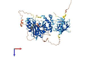 AlphaFold protein structure predicition of Mouse Recombinant Galnt15 Protein, UniprotID Q9D2N8