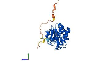 AlphaFold protein structure predicition of Mouse Recombinant Dusp14 Protein, UniprotID Q9JLY7