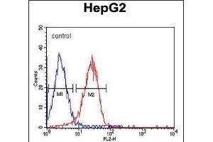 ITA6 Monoclonal Antibody (ABIN658988 and ABIN2838034) flow cytometric analysis of HepG2 cells (right histogram) compared to a negative control cell (left histogram). (ITGA6 anticorps)