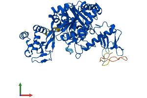 AlphaFold protein structure predicition of Human Recombinant UAP1 Protein, UniprotID Q16222