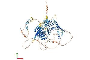 AlphaFold protein structure predicition of Human Recombinant DDX24 Protein, UniprotID Q9GZR7