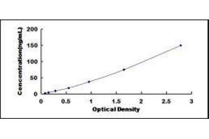 Fast Skeletal Troponin I (TNNI2) ELISA Kit