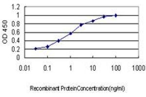 Detection limit for recombinant GST tagged MARK2 is approximately 0.