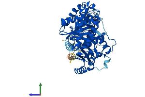 AlphaFold protein structure predicition of Mouse Recombinant Tuba8 Protein, UniprotID Q9JJZ2