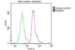 Overlay histogram showing Hela cells stained with ABIN7155816 (red line) at 1:250.