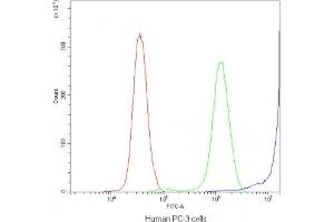 Flow cytometry testing of human PC-3 cells with DBI antibody at 1ug/10^6 cells (blocked with goat sera)