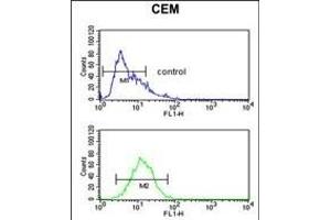 HPX Antibody (Center) (ABIN390596 and ABIN2840914) flow cytometric analysis of CEM cells (bottom histogram) compared to a negative control cell (top histogram).