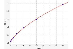 Typical standard curve