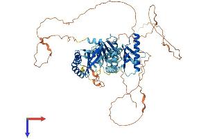 AlphaFold protein structure predicition of Mouse Recombinant Hps4 Protein, UniprotID Q99KG7