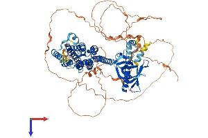 AlphaFold protein structure predicition of Mouse Recombinant Plekhg6 Protein, UniprotID Q8R0J1