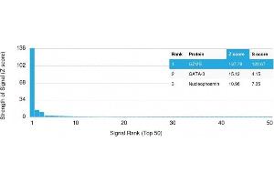 Analysis of Protein Array containing >19,000 full-length human proteins using Granzyme B Monospecific Mouse Monoclonal Antibody (GZMB/3014) Z- and S- Score: The Z-score represents the strength of a signal that a monoclonal antibody (MAb) (in combination with a fluorescently-tagged anti-IgG secondary antibody) produces when binding to a particular protein on the HuProtTM array.