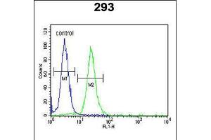 Flow cytometric analysis of 293 cells (right histogram) compared to a negative control cell (left histogram). (LMBR1L anticorps  (C-Term))