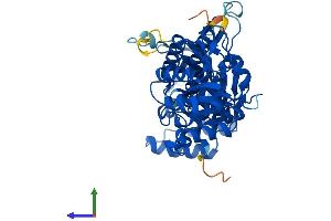 AlphaFold protein structure predicition of Human Recombinant NAMPT Protein, UniprotID P43490