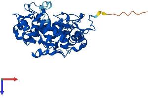 AlphaFold protein structure predicition of Mouse Recombinant Rabggtb Protein, UniprotID P53612