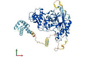 AlphaFold protein structure predicition of Mouse Recombinant Pola2 Protein, UniprotID P33611
