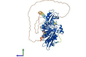 AlphaFold protein structure predicition of Human Recombinant PARN Protein, UniprotID O95453