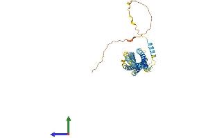 AlphaFold protein structure predicition of Human Recombinant STX5 Protein, UniprotID Q13190