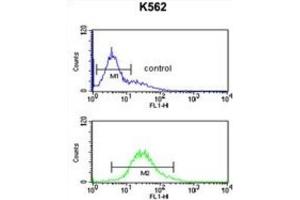 Flow Cytometry (FACS) image for anti-Ribosomal Protein S15a (RA) antibody (ABIN3002138)