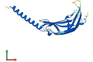 AlphaFold protein structure predicition of Human Recombinant SPCS3 Protein, UniprotID P61009