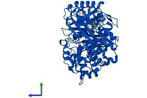 AlphaFold protein structure predicition of Mouse Recombinant Pgm5 Protein, UniprotID Q8BZF8