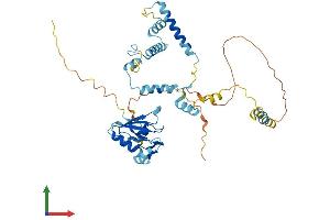 AlphaFold protein structure predicition of Mouse Recombinant Rbm41 Protein, UniprotID Q8JZV4