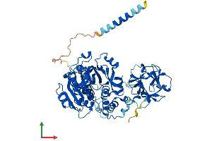 AlphaFold protein structure predicition of Human Recombinant GALNT1 Protein, UniprotID Q10472