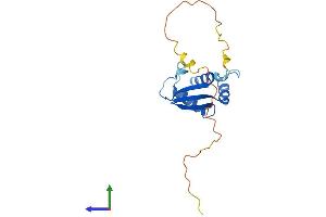 AlphaFold protein structure predicition of Human Recombinant RPS10 Protein, UniprotID P46783