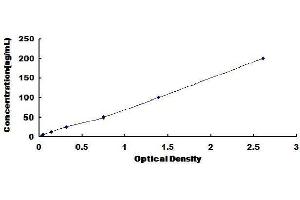 ELISA image for CD38 ELISA Kit (ABIN1568767) (CD38 Kit ELISA)