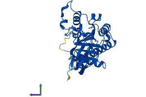 AlphaFold protein structure predicition of Mouse Recombinant Aspa Protein, UniprotID Q8R3P0