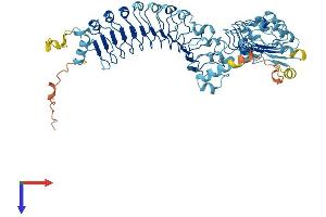 AlphaFold protein structure predicition of Mouse Recombinant Lrrc40 Protein, UniprotID Q9CRC8