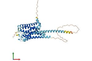 AlphaFold protein structure predicition of Mouse Recombinant Hrh4 Protein, UniprotID Q91ZY2