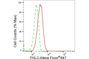 Flow cytometric analysis of FHL2 expression in HT- cells using FHL2 antibody (ABIN7798656), 1:2,000). (Recombinant FHL2 anticorps)