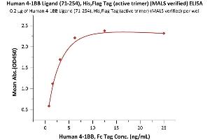 Immobilized Human 4-1BB Ligand (71-254), His,Flag Tag (active trimer) (MALS verified) (ABIN6951005,ABIN6952261) at 2 μg/mL (100 μL/well) can bind Human 4-1BB, Fc Tag (ABIN2180548,ABIN2180547) with a linear range of 0.