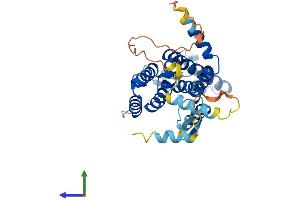 AlphaFold protein structure predicition of Mouse Recombinant Rhbdd1 Protein, UniprotID Q8BHC7