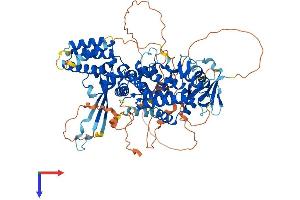 AlphaFold protein structure predicition of Mouse Recombinant Rgl2 Protein, UniprotID Q61193