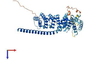 AlphaFold protein structure predicition of Mouse Recombinant Mrps27 Protein, UniprotID Q8BK72