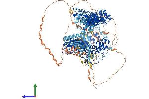 AlphaFold protein structure predicition of Mouse Recombinant Tnks Protein, UniprotID Q6PFX9